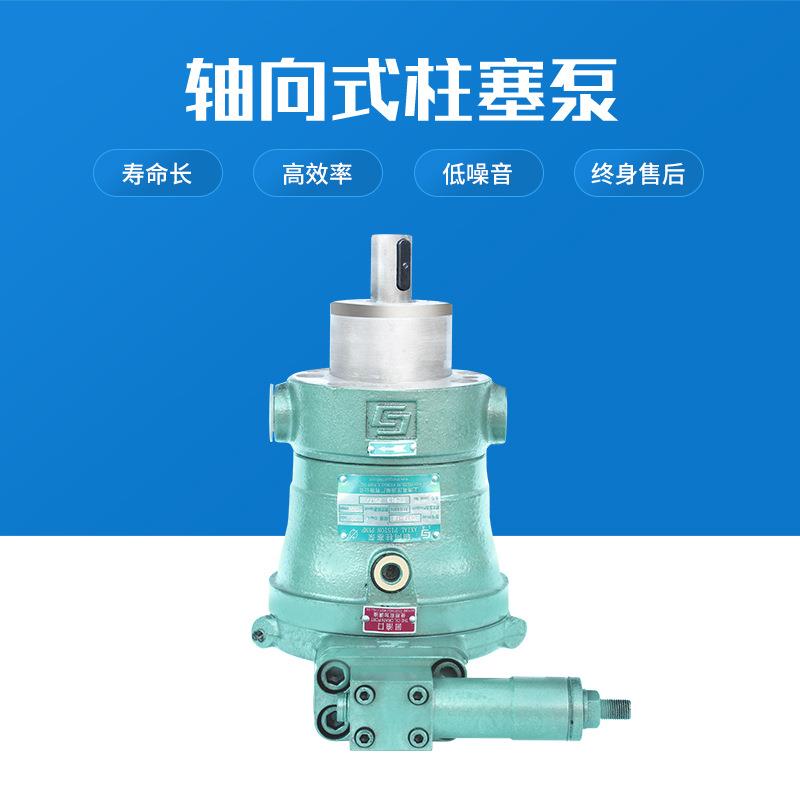 4辽宁轴向定EJV柱泵维修原厂PCY1-1B恒压变塞量量油泵增压泵