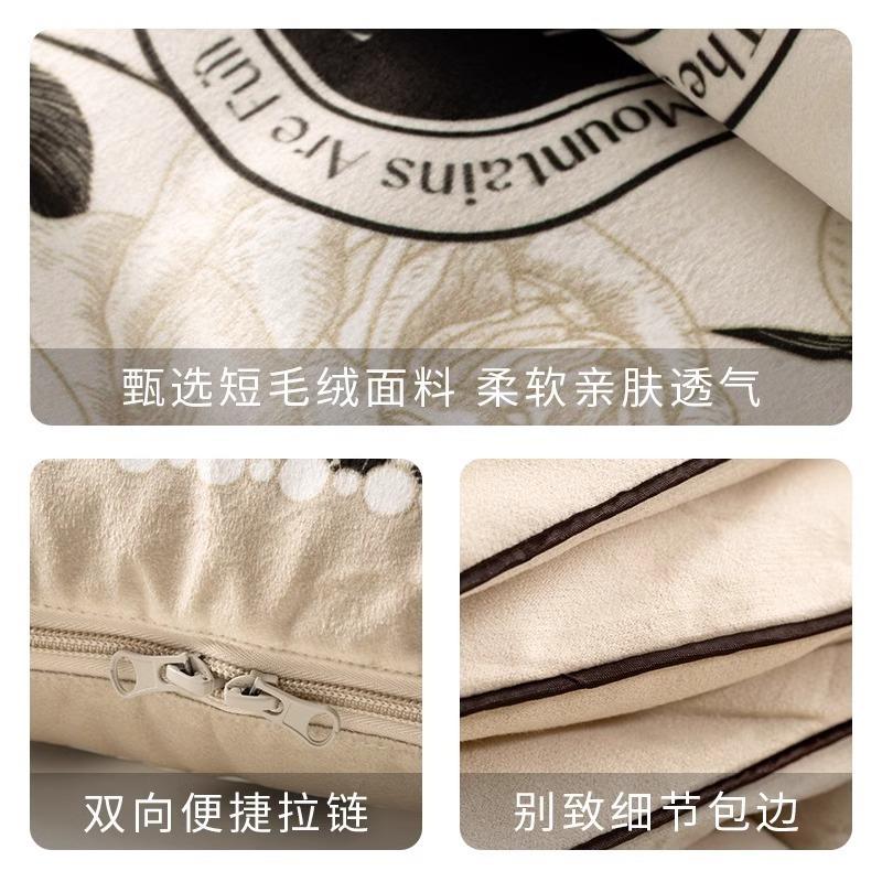 艾莎二轻奢沙发办公室抱枕被两用合一车睡QTH用午休靠枕午车载靠