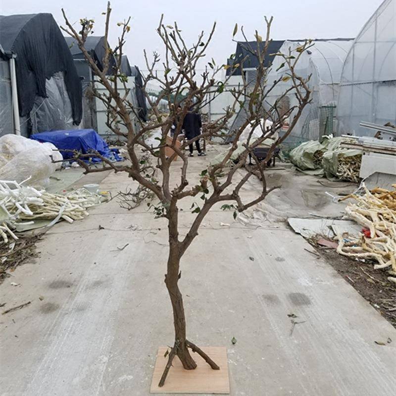 天造型枯装饰枯木干树枝摄影道具树FHG实树木然干枝装树饰树枯枝