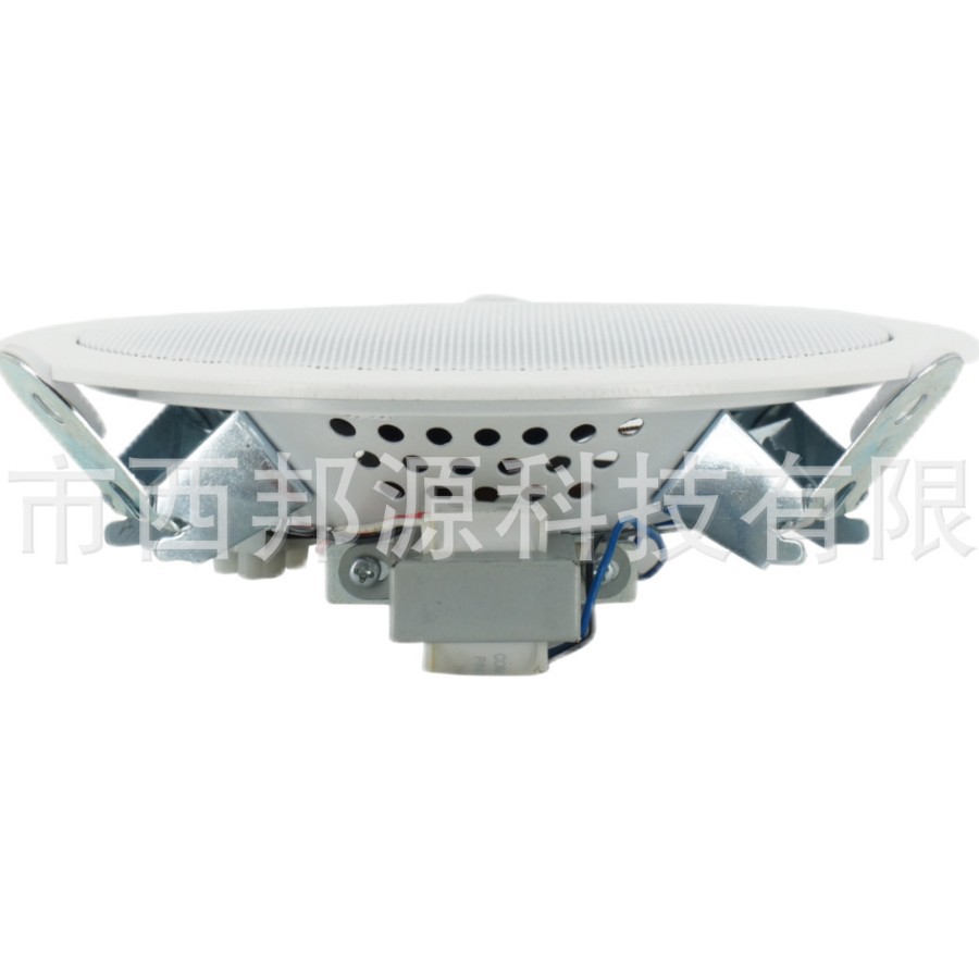 5"寸嵌入式3W/6W不带后盖吸