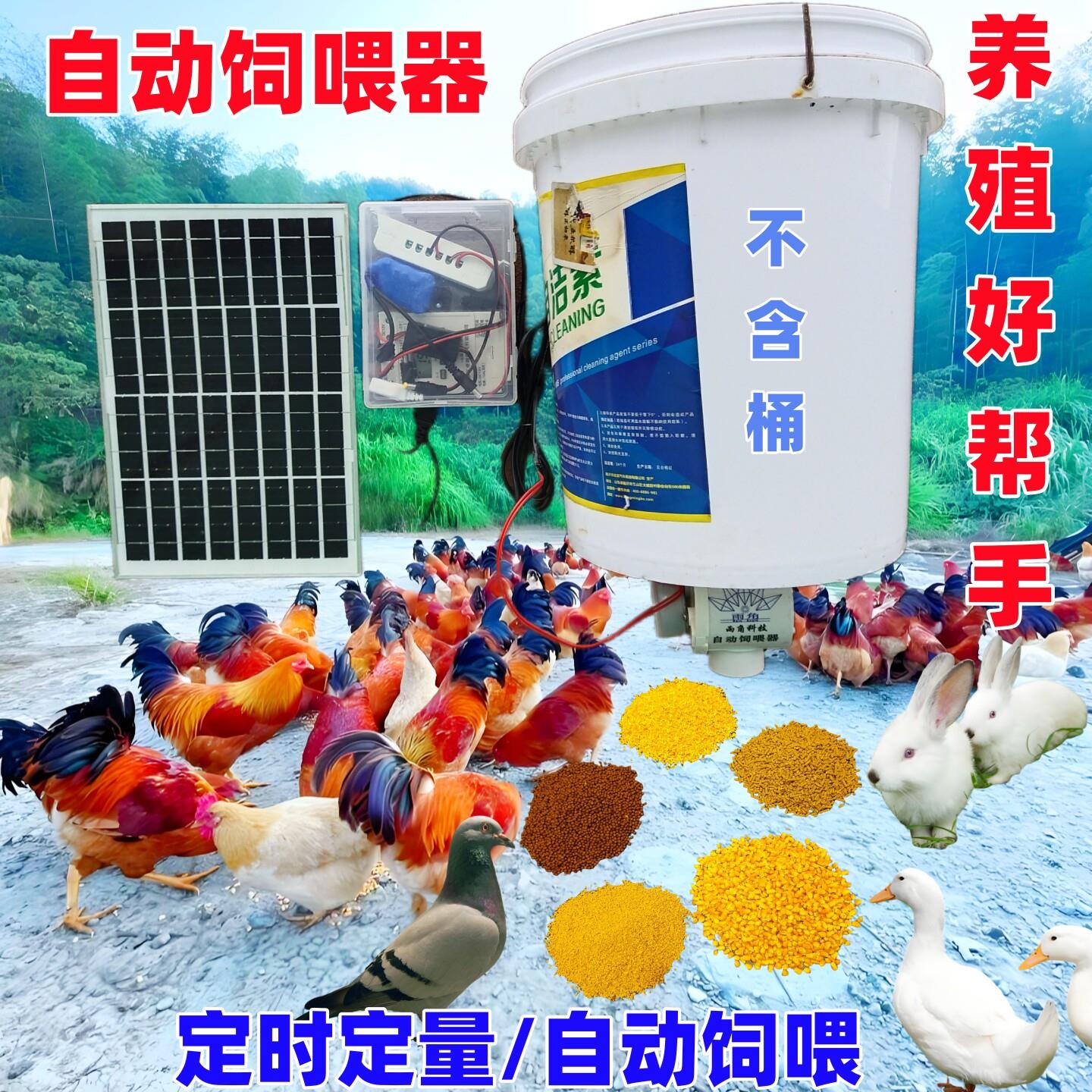 鸡鸭自动饲喂器鸽子定时定量投料器家禽远程控制喂食机太阳能养殖