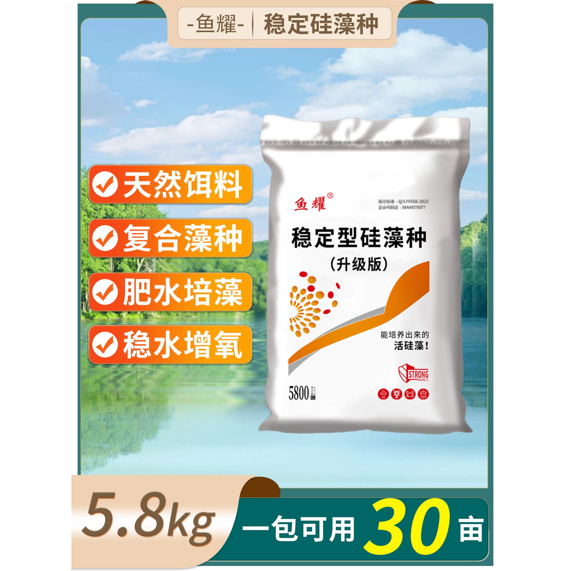 鱼耀稳定型硅藻种小球藻覆合藻种水产养殖鱼虾蟹白鲢塘肥水培藻