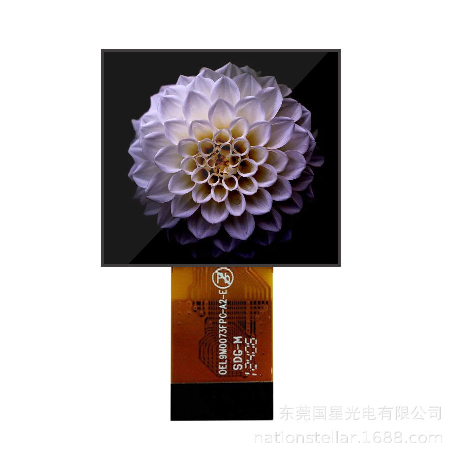 1.1英寸信利超宽温OLED屏