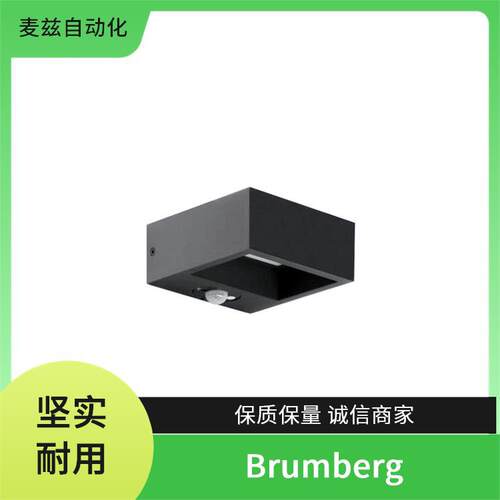 Brumberg台灯落地灯LED泛光灯