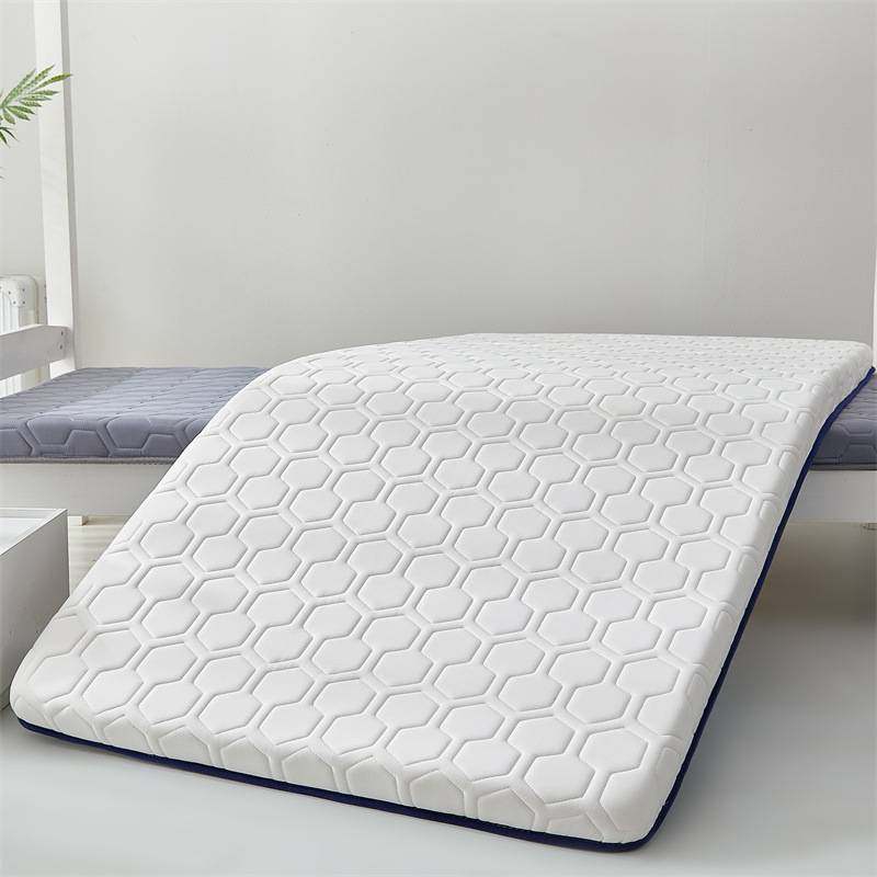 学生宿舍床垫家用卧室软垫单人乳胶垫子租房专用床褥垫被90x190cm