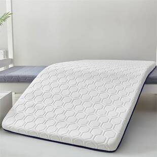 学生宿舍床垫家用卧室软垫单人乳胶垫子租房专用床褥垫被90x190cm