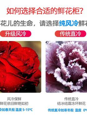 鲜花柜冷藏展示柜双三花IAG门店鲜花保鲜风冷展柜单商冰柜用冰箱