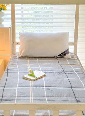 床垫学生宿舍上选下铺FPO单严人软睡垫榻榻米床褥褥垫夏季垫被子