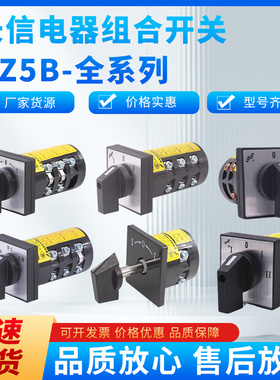 温州长江长信组合开关HZ5B-10/3 D010 B005 M08T倒顺高低速正反转