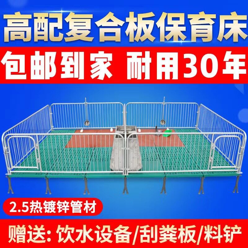 厂家直销仔猪保育床小猪保育床单双体全复合保育床母猪产床定位栏