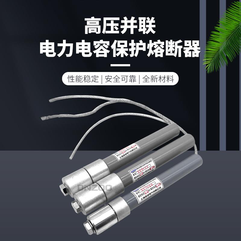 BR2BRWBR护N-10120/A150A16QKP0A200A电力电容器保高压熔断器