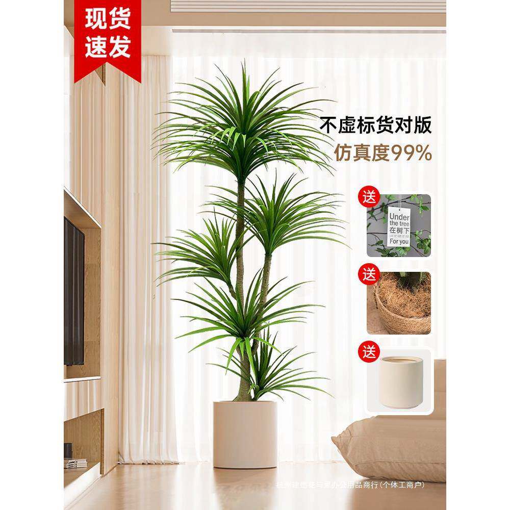 龙血绿植龙须LXS-0808树龙铁树客厅装室内大型假地植物饰树盆栽落