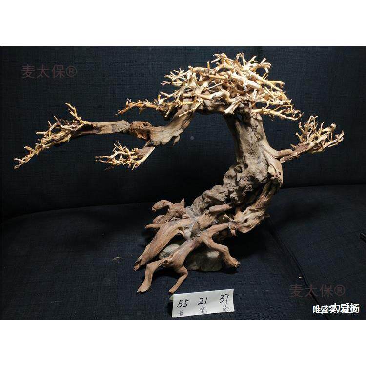 西树沉木莫斯树杜鹃根草泰国枝水族箱造麦景鱼生NIX缸命之树水太