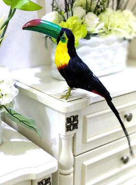 直销真鸟大嘴鸟巨嘴厂LVI鸟装饰摆件真羽毛仿手工制家作假鸟布景