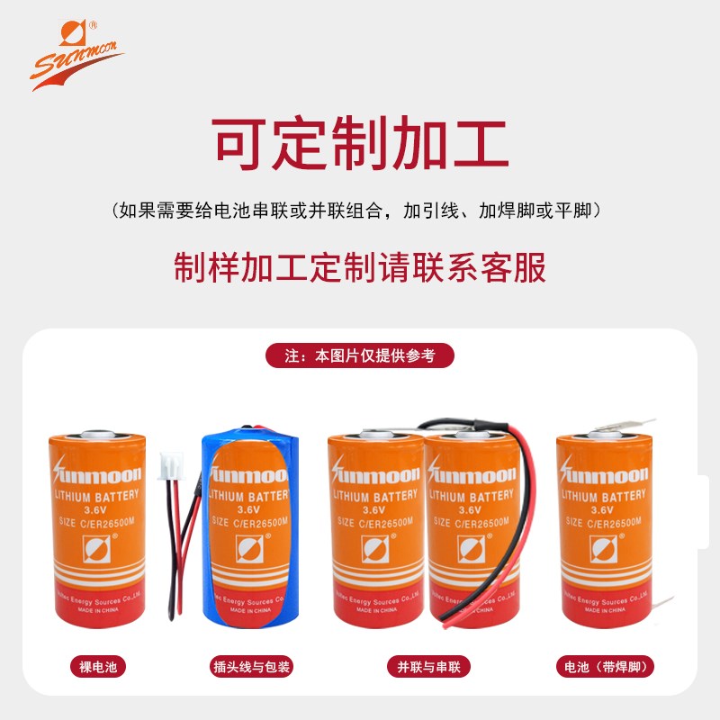 日月锂电池2ER20M串联 7.2v流量计表 设备物联网并联3.v 2号
