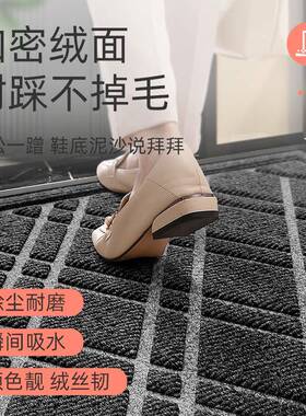 厚入户地垫垫门口家用耐脏防门滑进门加脚豪宅F77S96HH酒店垫门外