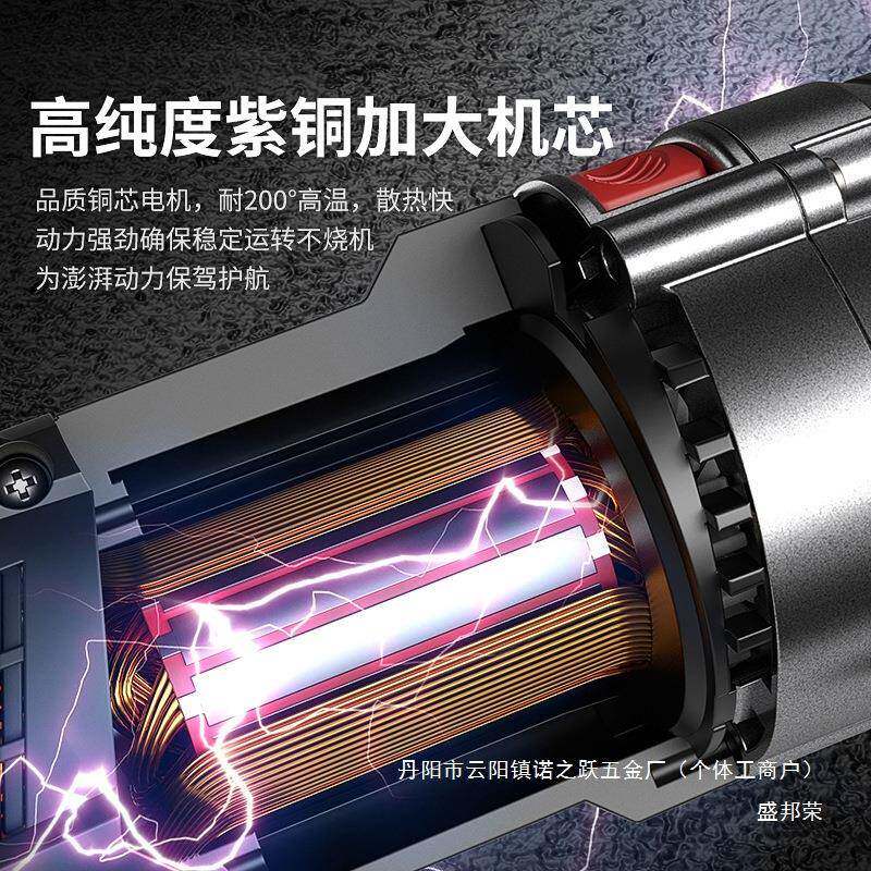 厂家直销电转动冲击钻电锤两用工大DWZ能功率电具家用多功打孔