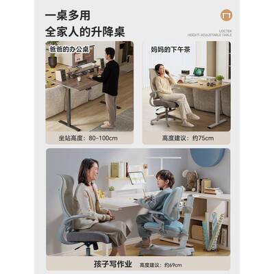 升降桌居家办公实木EFM动书桌电升降电桌脑工桌厂直销