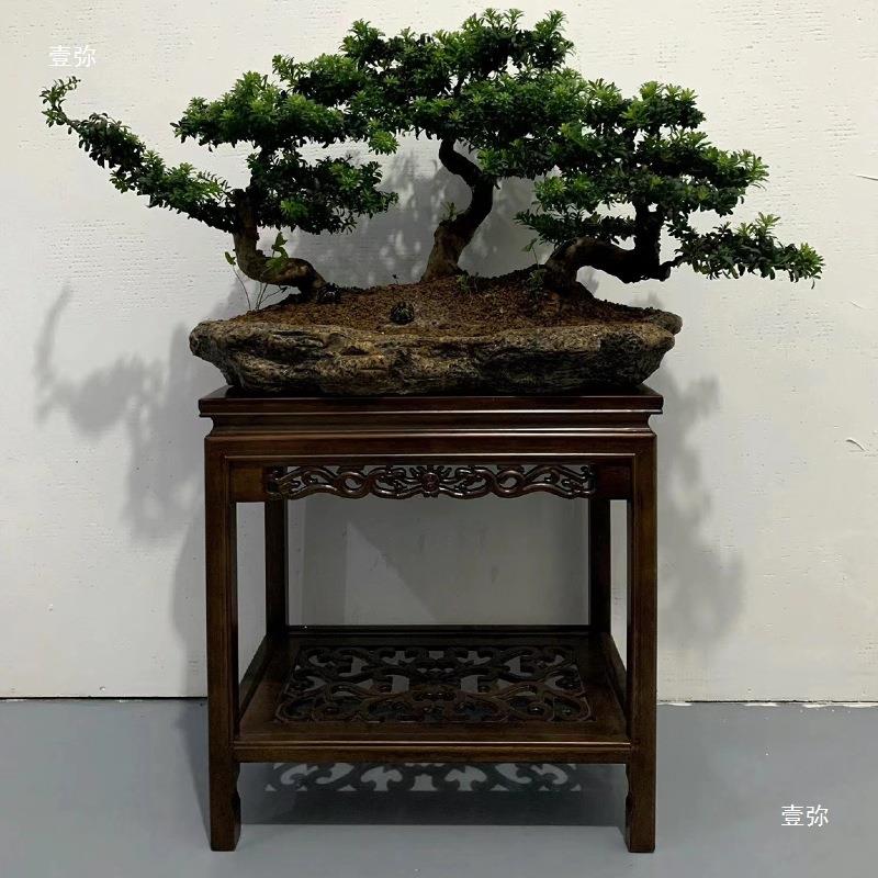 中式实木花仿古鱼置物架客厅茶几层室ZJW内奇石绿萝盆景架缸落多