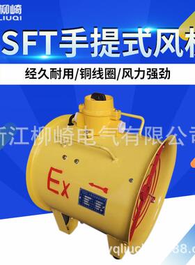 移动便捷式抽送两用8寸10寸12寸14寸16寸防爆手提式风机BSFT-300