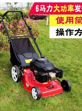 公路马路边坡草修剪机38754杂坪割草机手提式汽油花园除草草机