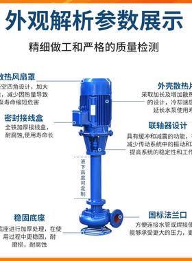 N污水泥泵L立式浆液下无堵塞淤50836泥泵可加长浆污水泵泥排污水离心泵
