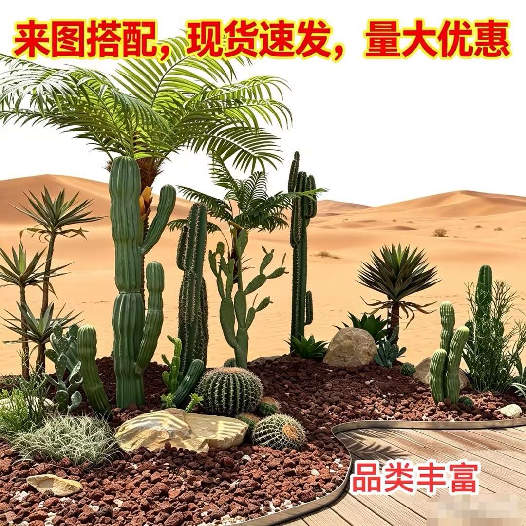 仙人柱仿真仙人掌造景摆件室内橱窗拍摄道具大型沙漠植物场景装饰