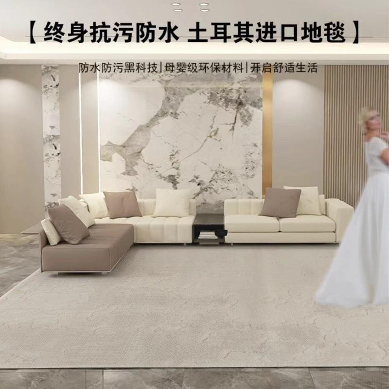 土耳其原装防水轻奢简约加厚家用客厅卧室耐脏地毯茶几沙发脚毯in