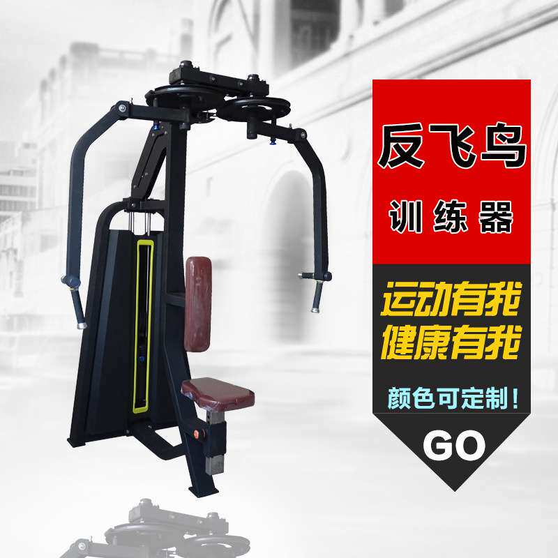 厂家 力量器械反飞鸟训练器健身房健身器材商用直臂夹胸训练器