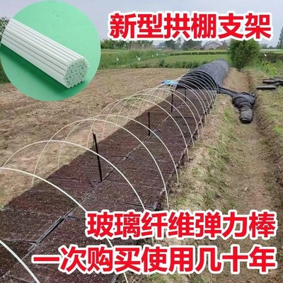 新型小拱棚支架 种菜专用棚架 玻璃钢纤维棒玻璃纤维拱棚大棚拱杆