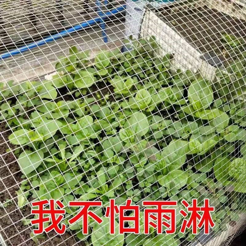 热镀锌钢丝网防锈围栏网养殖网铁丝网防鼠防蛇阳台封窗防护电焊网