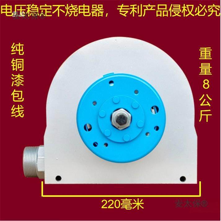 力发电机用卧式佩尔顿1千瓦220V家农小村型SHE涡轮发电大功水麦太