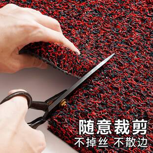 加厚丝圈地垫门口门外蹭土除尘门垫玄关可擦免洗耐脏防滑地毯入户