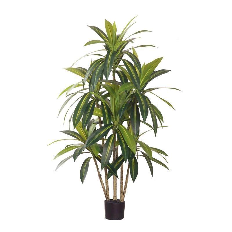 大型地仿真绿巴西盆龙舌兰木栽家居室内装落饰摆件仿真树巴西铁植