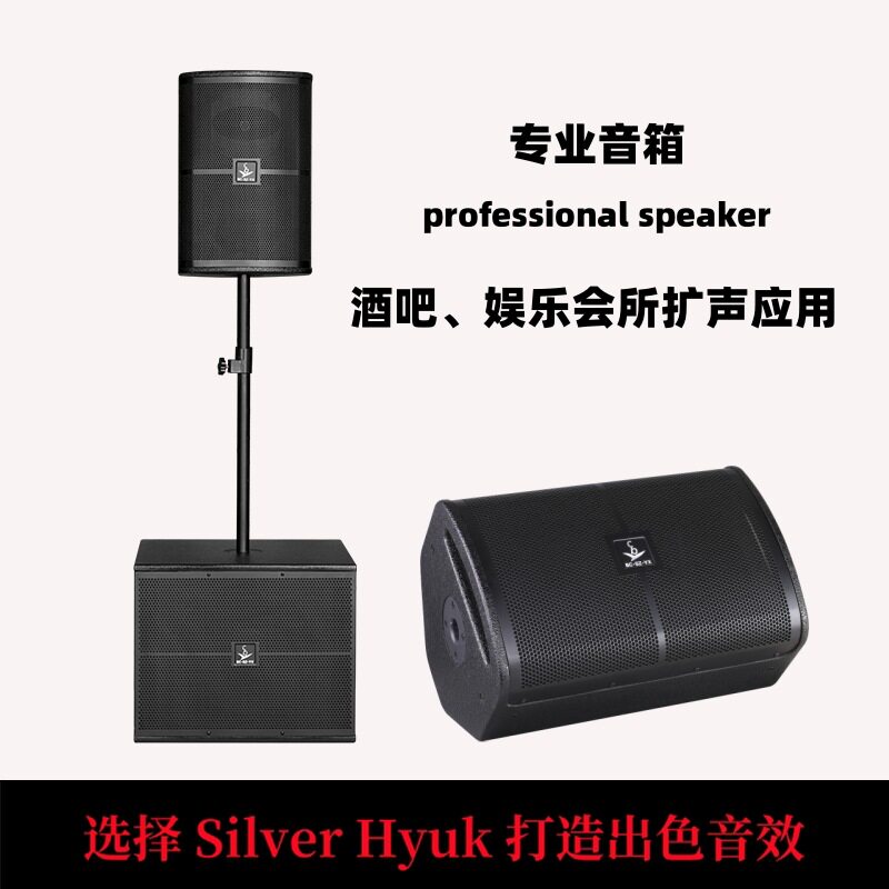 Silver Hyuk音响设备酒吧ktv舞台k派对dj打碟嗨房10寸专业音箱