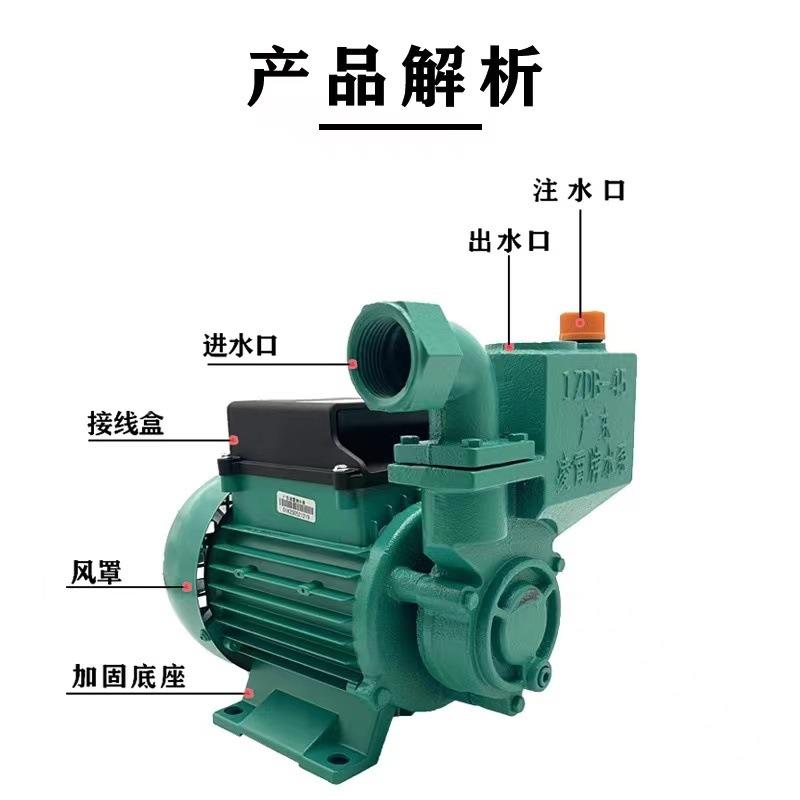 广东霄1ZDB65水泵凌YWJ水家用自水泵高扬程吸增压泵自来井农用抽