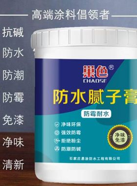 【下单立减50】防水防潮免漆补墙膏墙面修补白色腻子膏室内墙PJ3