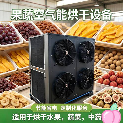 芒果空气能热泵烘干机荔枝龙眼烘干设备柠檬无花果空气能烘干房