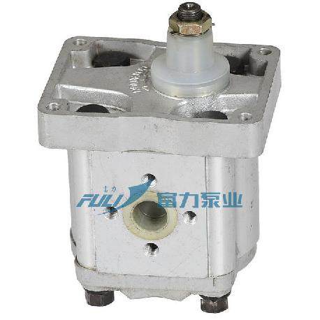 菲亚特 A25×P4MS 转向助力泵 液压齿轮泵 厂家直销汽车