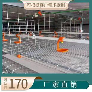 厂叠家直销层式Q235肉笼全自动清粪框架肉鸡笼肉鸡自设动鸡化养殖