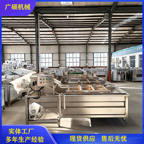 杨梅清洗机 全自动连续式水果气泡清洗机 喷淋鼓泡洗桃机