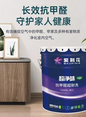 紫抗荆花HTW超净味净醛甲醛超洗墙优等墙面漆环耐保内漆白色乳胶