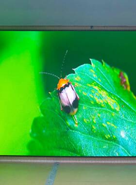 le显示屏内舞台直播Pled全彩室显示屏P2.YXY52电子屏广告大屏幕厂