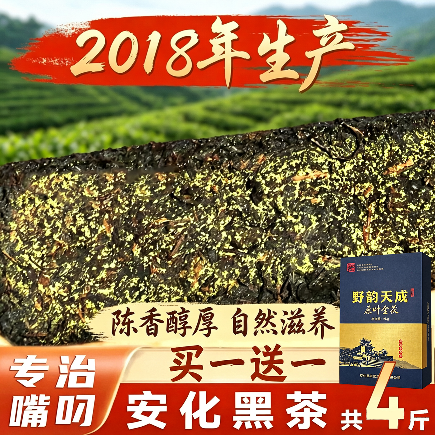 安化黑茶官方旗舰店正品金花爆满