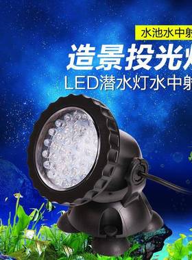 草地led潜水灯景区假山造景灯水陆节能射灯一拖二/一拖/N防水