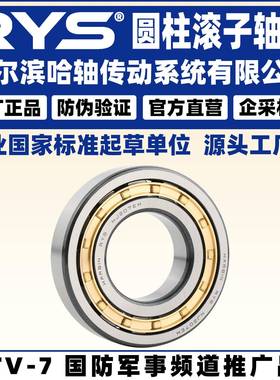 RYS 哈轴传动 N RN NF NU NJ NUP 211 212 213 M EM 圆柱滚子