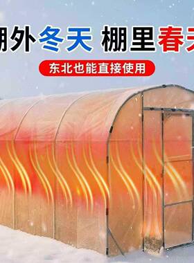 阳冬季保温房蔬菜暖家用温室多肉大庭院棚WHJ钢管棚骨架光房花棚