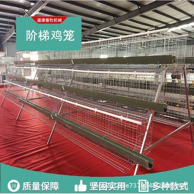 阶梯蛋笼鸡镀锌铁丝养殖场大号双边三层蛋5SFK叠式家养禽鸡鸡笼