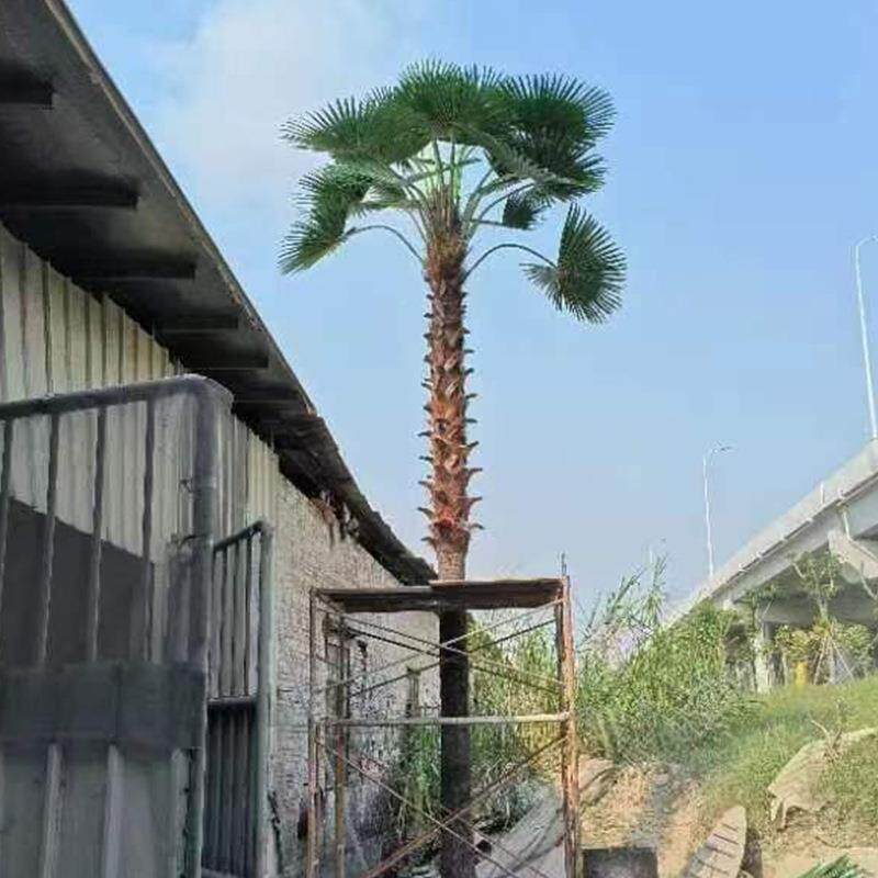 大型假绿植室外造景30仿葵葵树人造玻内璃钢热真带植物仿真树[新