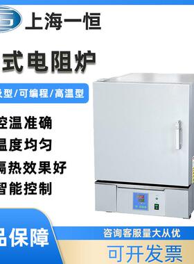 上海SX2-4-10N箱式电阻炉马弗炉实验室退火炉高温马弗炉